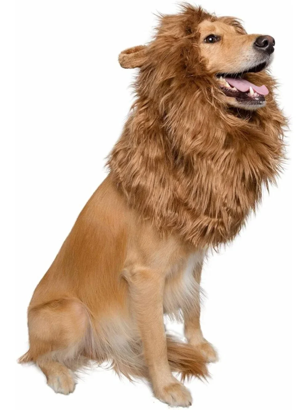 Large Dog Lion Mane Costume & Wig - Fun Pet Costume for Halloween & Parties